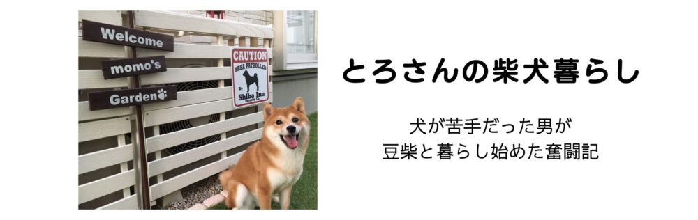 とろさんの柴犬暮らし