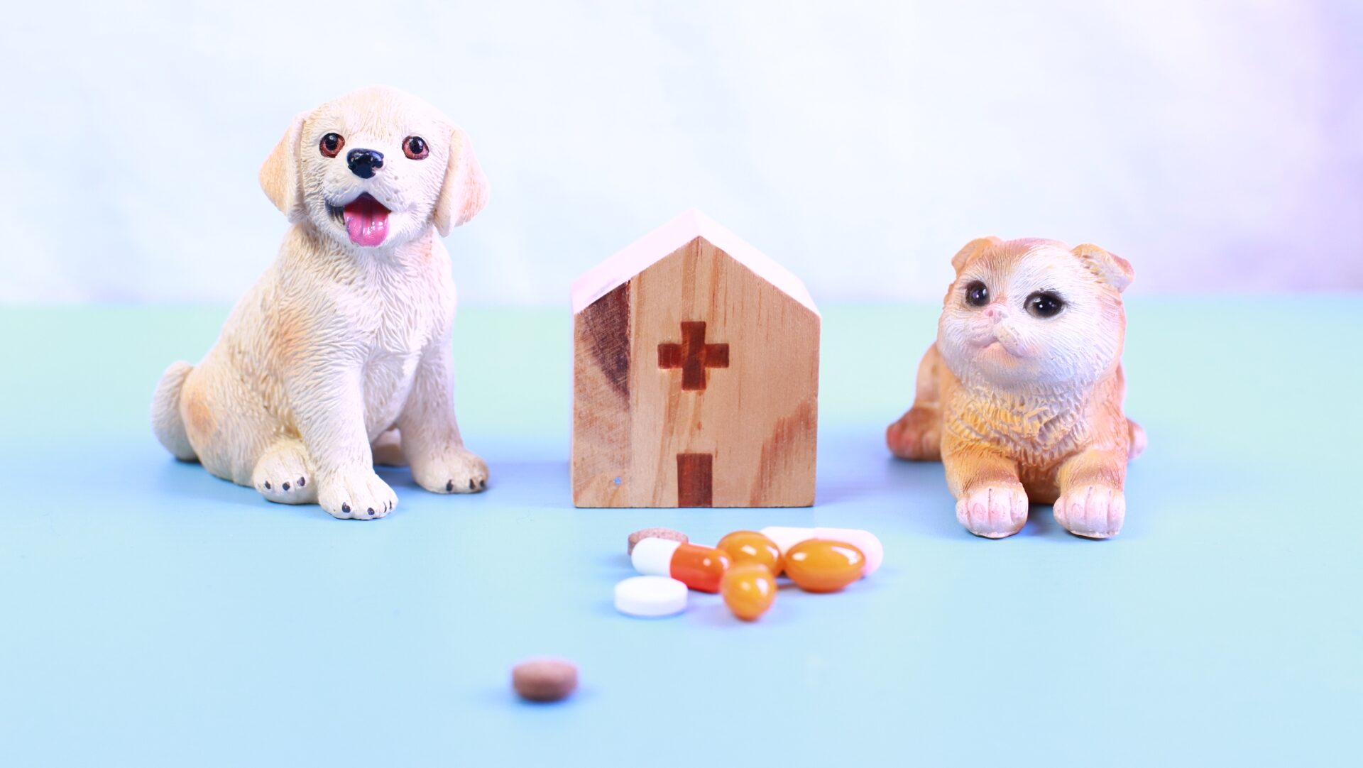 犬猫の病院