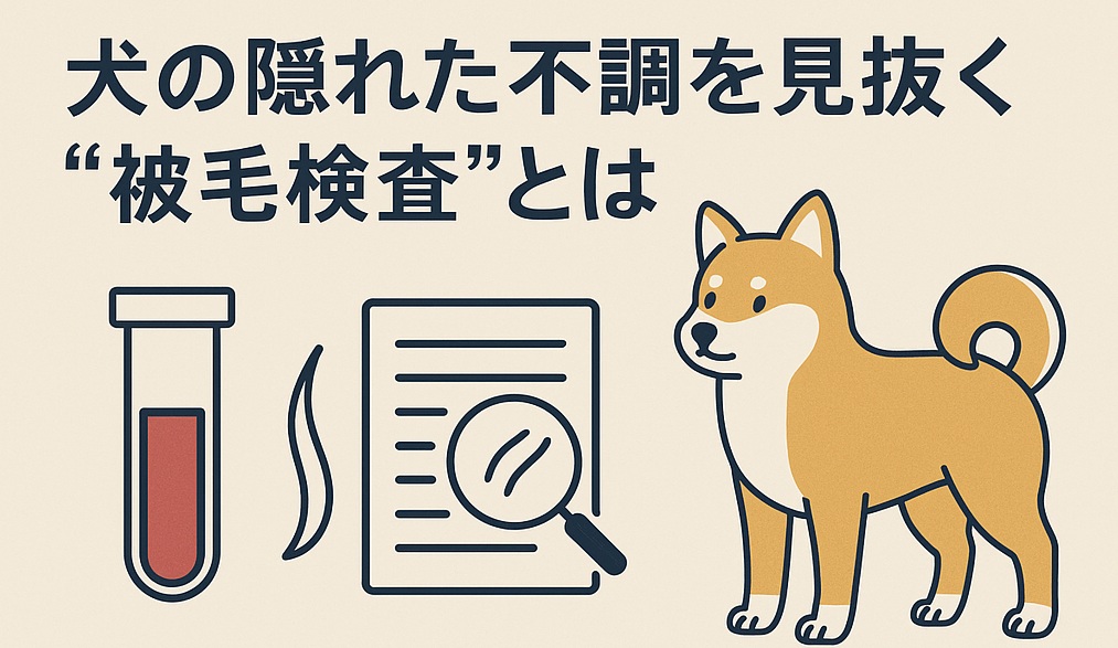 犬の被毛検査
